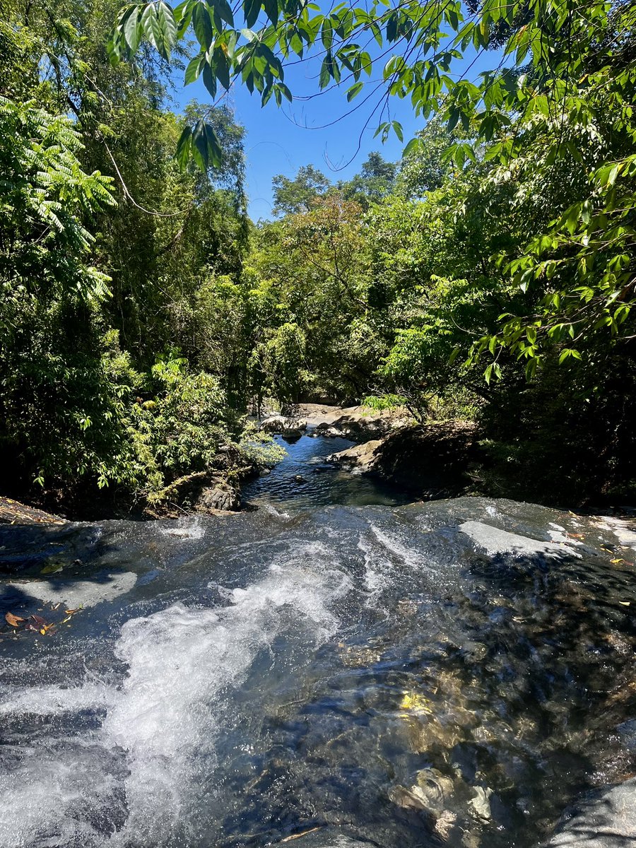 Lowkey_Me tweet media