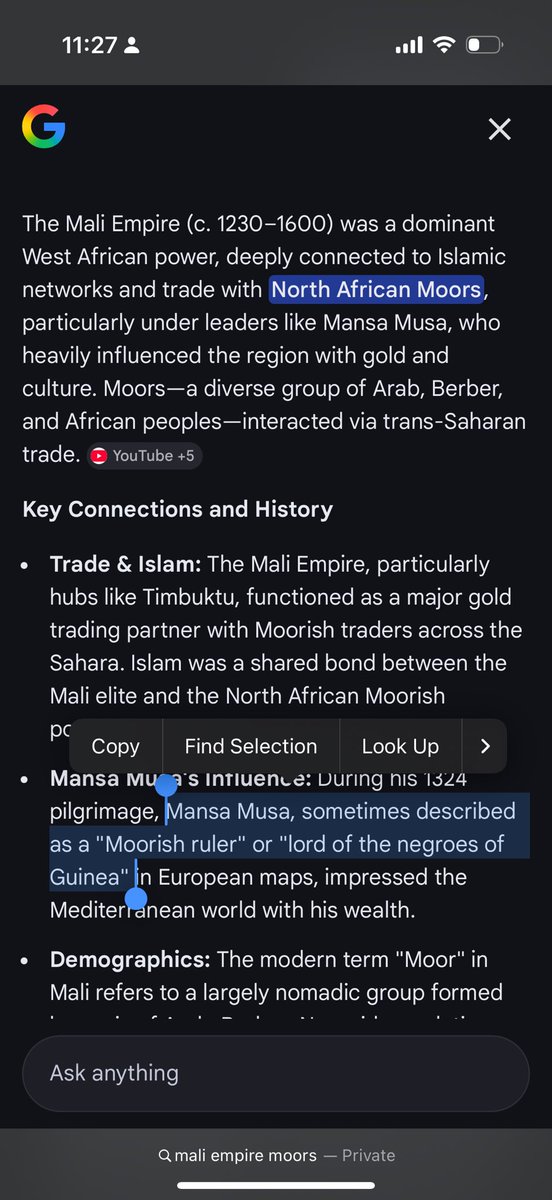 Paper Chaser tweet media