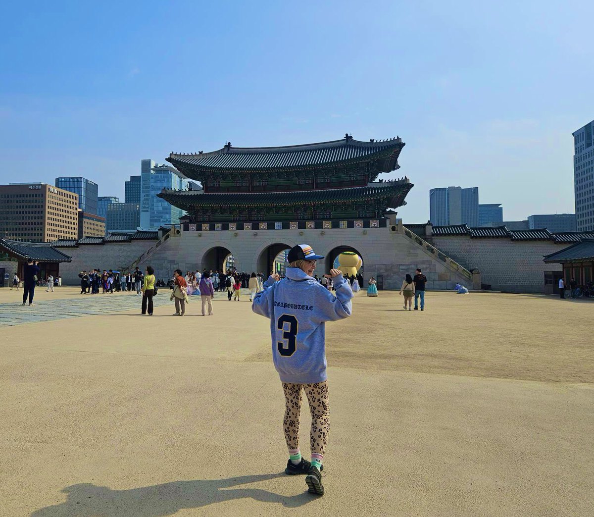 Elise Marie Collins tweet media