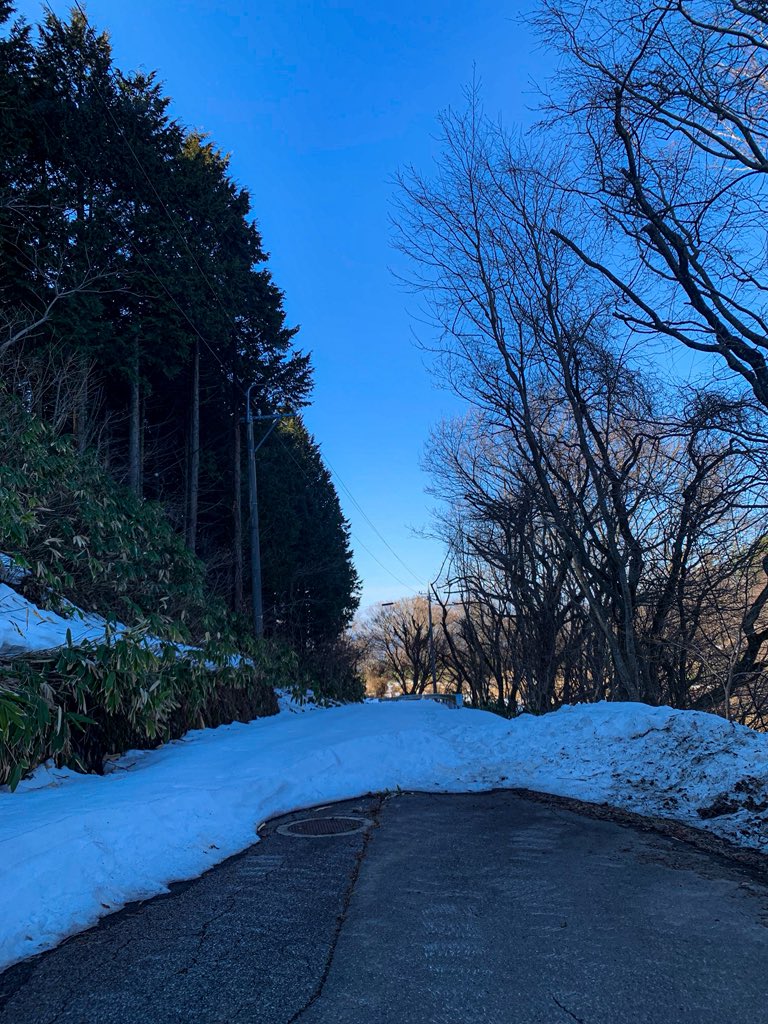 如月奥能登巡り
恋路海岸から山越
ずんどこずんどこ🚙
途中絶景の八ヶ山展望台を通り
積雪の行き止まりに打ち当たりながらも抜け出て到着
能登半島最北端の店 井上商店へ

#今行ける能登
#のと活
#北陸グルメ 
#俺の
#梅干し
令和八年二月二十二日ふ