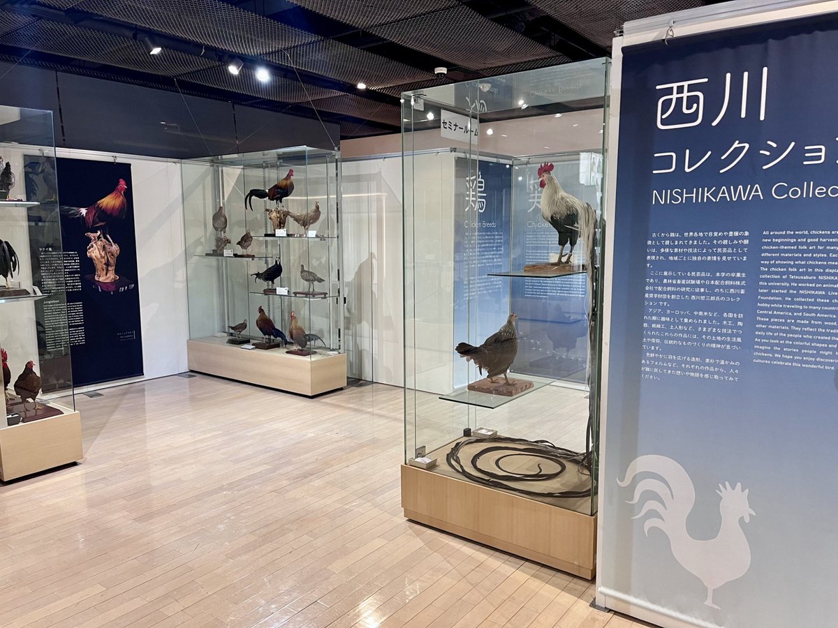 syokunou_museum's tweet photo. 【✨2F常設展リニューアルのお知らせ①✨】

鶏の剥製コーナー、西川コレクション、住江コレクション、酒造り道具の解説タペストリーが新たに加わりました👏
剥製はカメラマン鈴木迅氏の撮影です📸
https://t.co/AW9gRwUMGV
是非展示品と一緒にじっくりご覧ください🐓

#東京農業大学 #食と農の博物館 https://t.co/G7KYLw9DNB