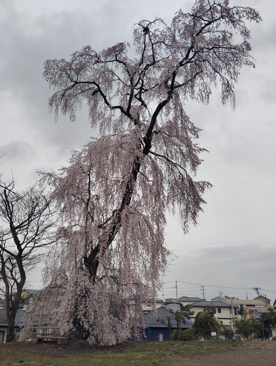 るー⛰️루카 tweet media