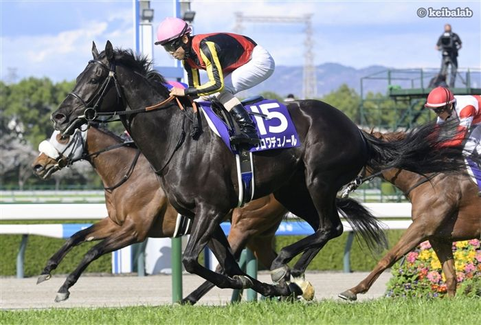 競馬ラボ tweet media