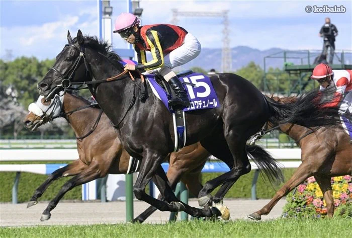 圧縮なしサラブレッドコレクションスクラッチA賞クロワデュノール ナリタブライアン 圧縮なしサラブレッドコレクションスクラッチA賞クロワデュノール