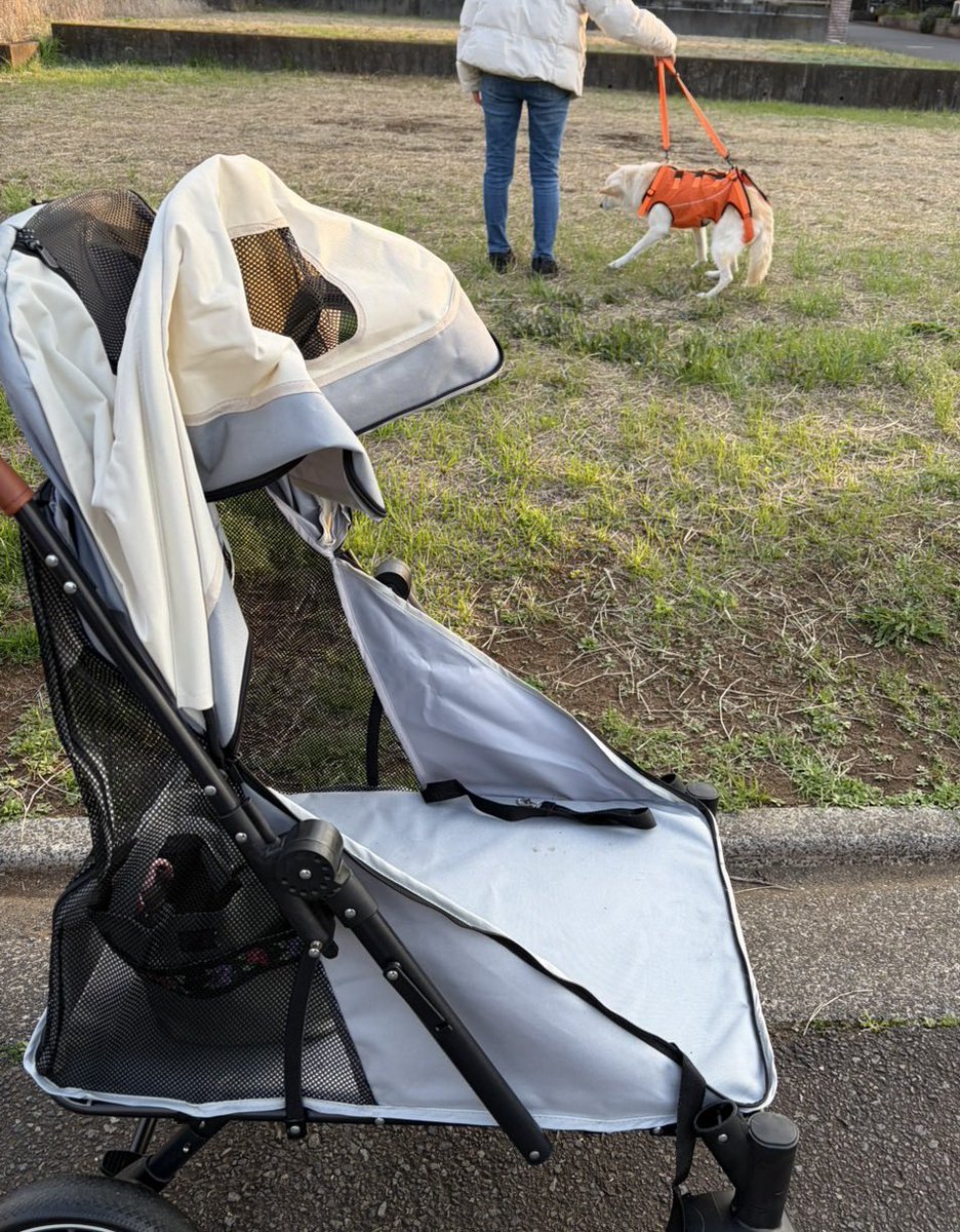 しゅんか tweet media