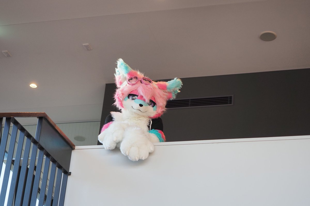 むめい tweet media