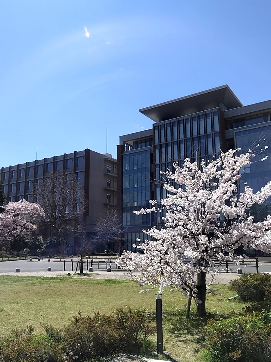 おせち先生 tweet media