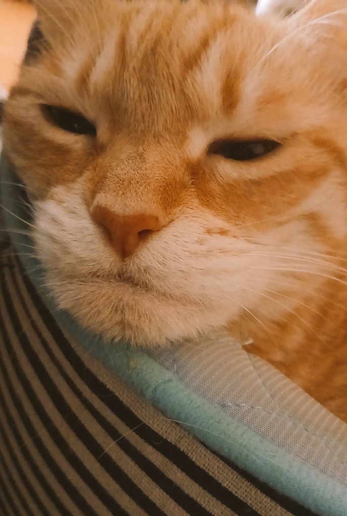 DINING BAR Chill tweet media