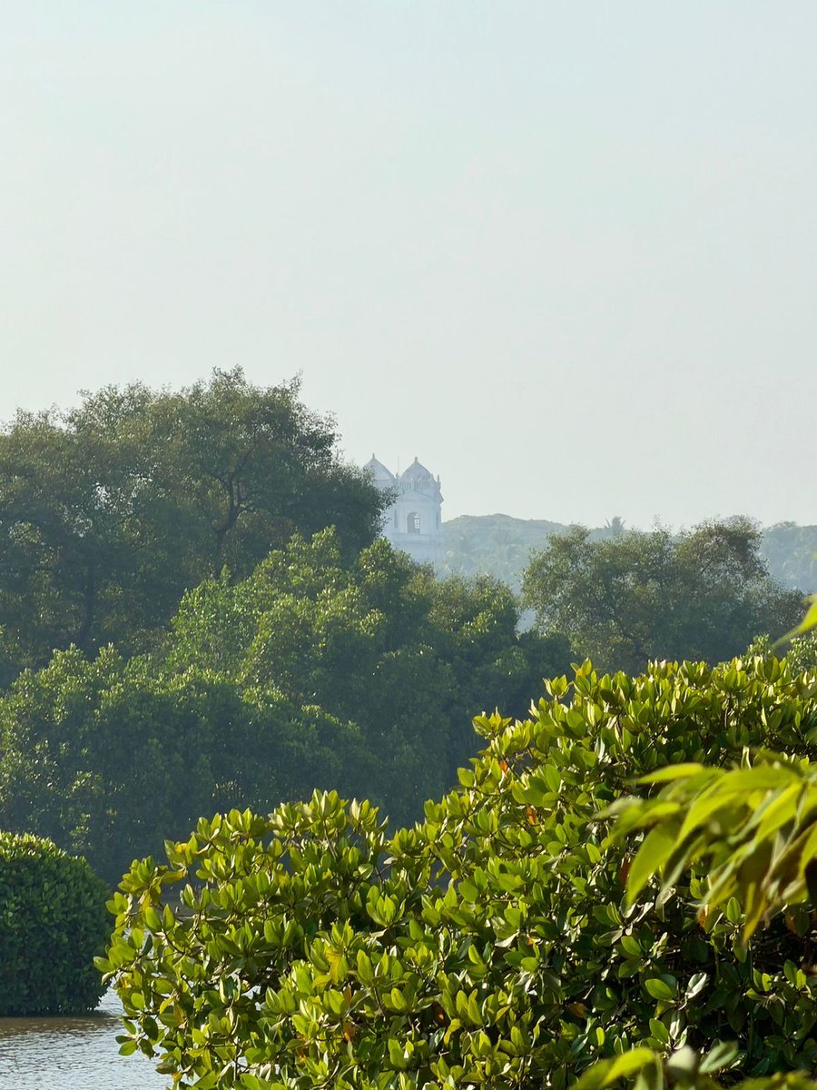 Dr Philipp Ackermann tweet media