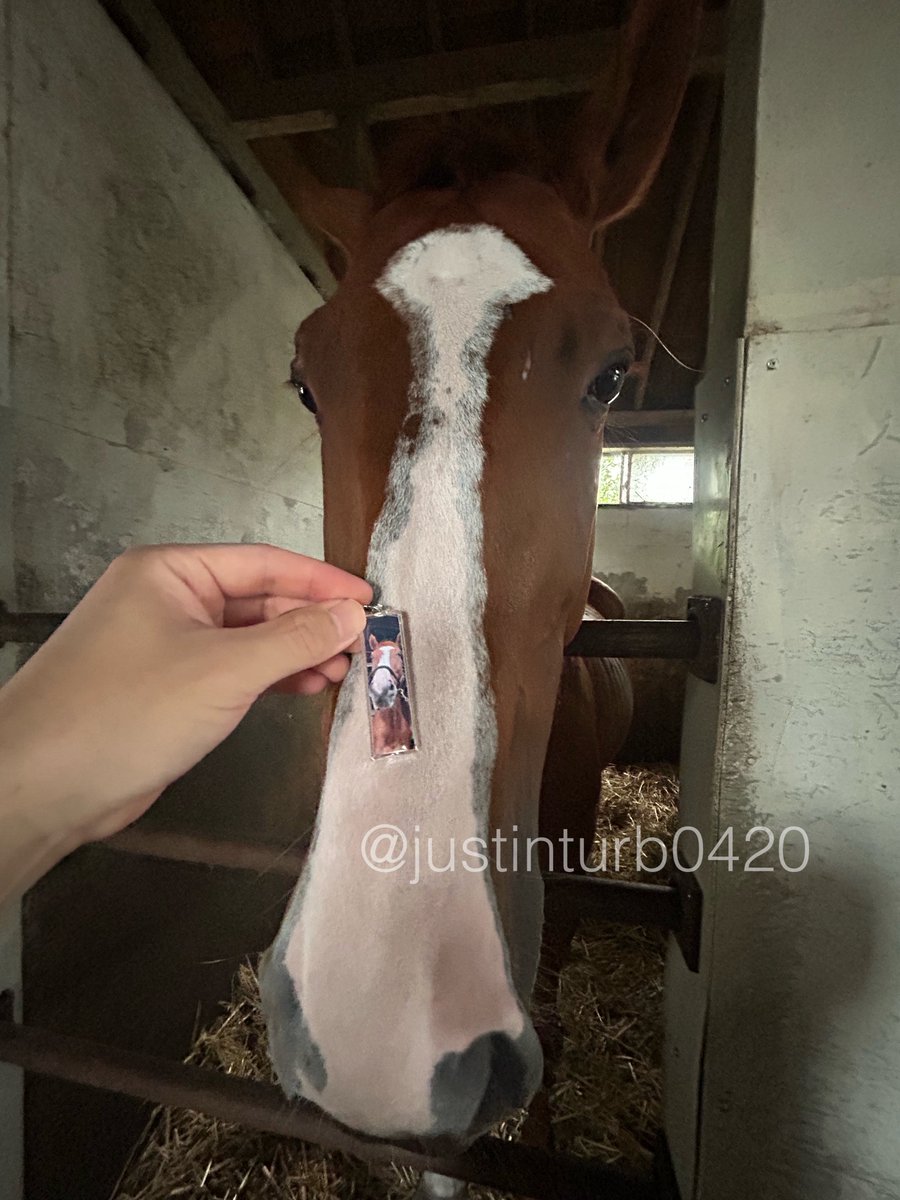 GOGOターボさん（ジャスティンターボ） tweet media