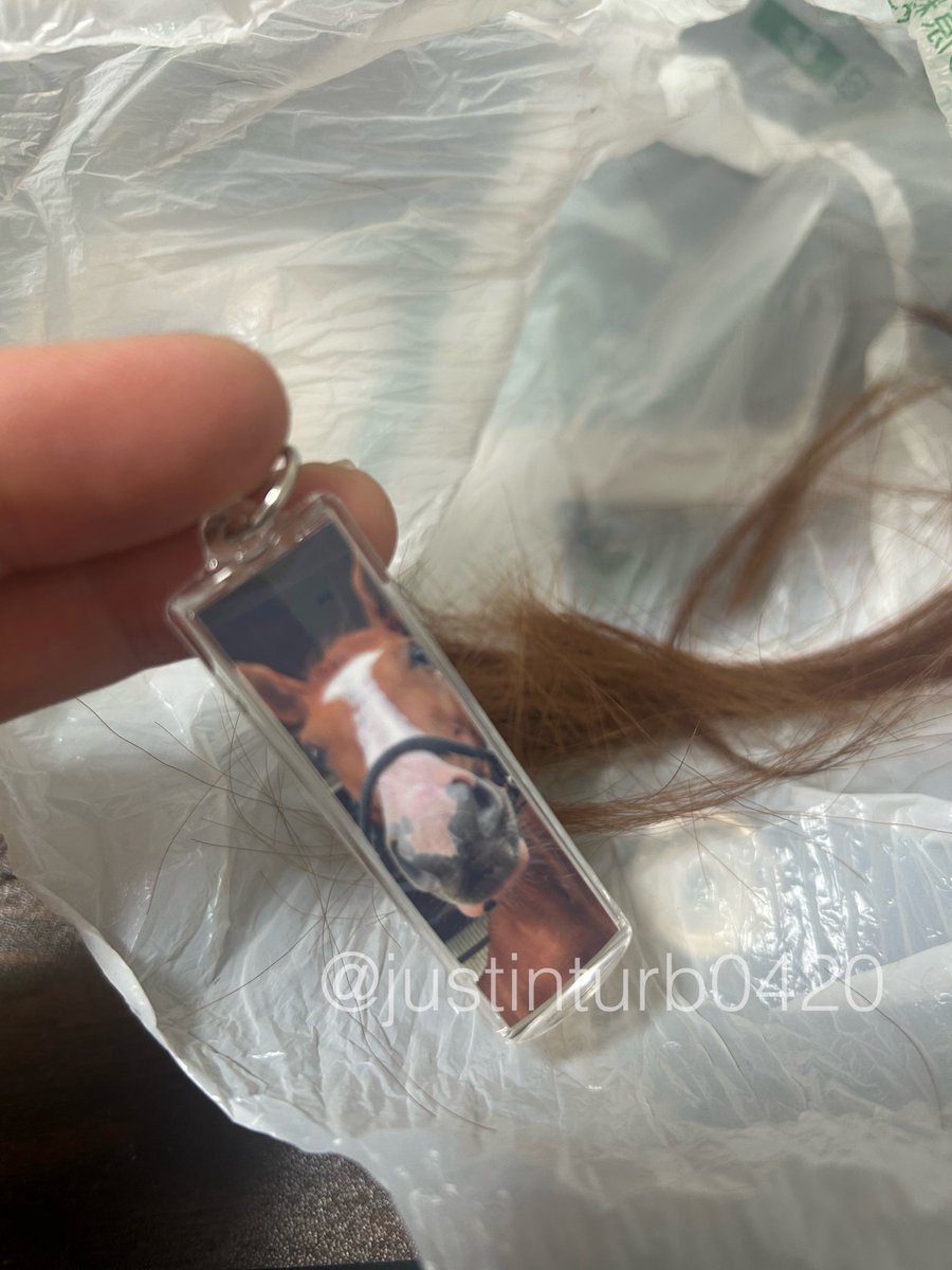 GOGOターボさん（ジャスティンターボ） tweet media