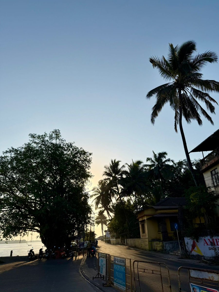 Dr Philipp Ackermann tweet media