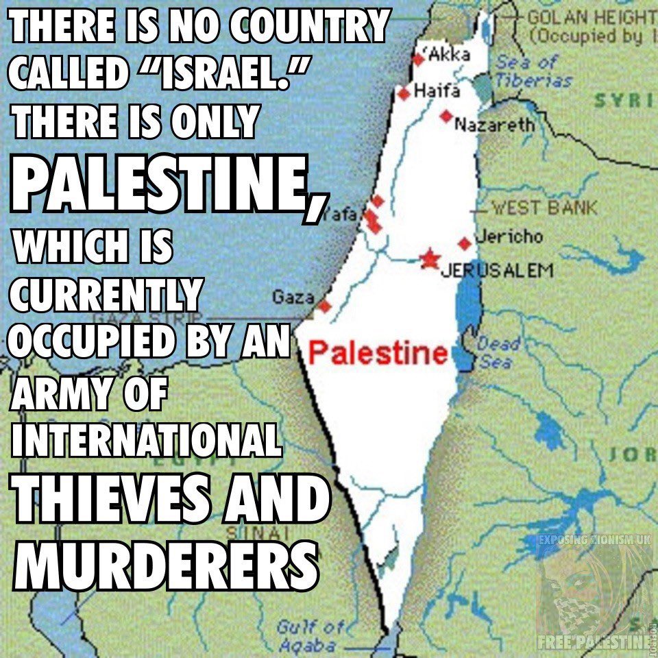 No Zio's tweet media