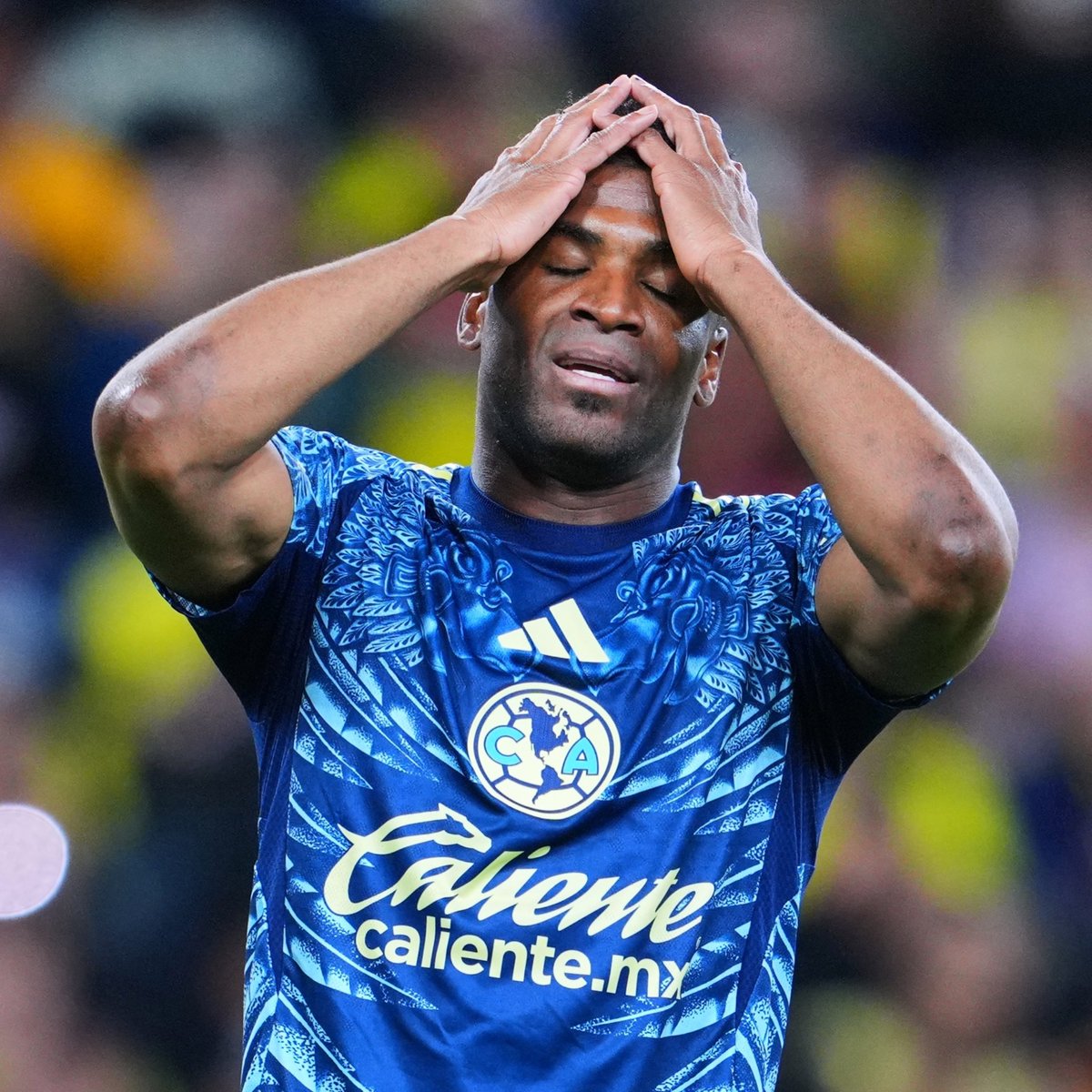 LUIS CASTILLO tweet media