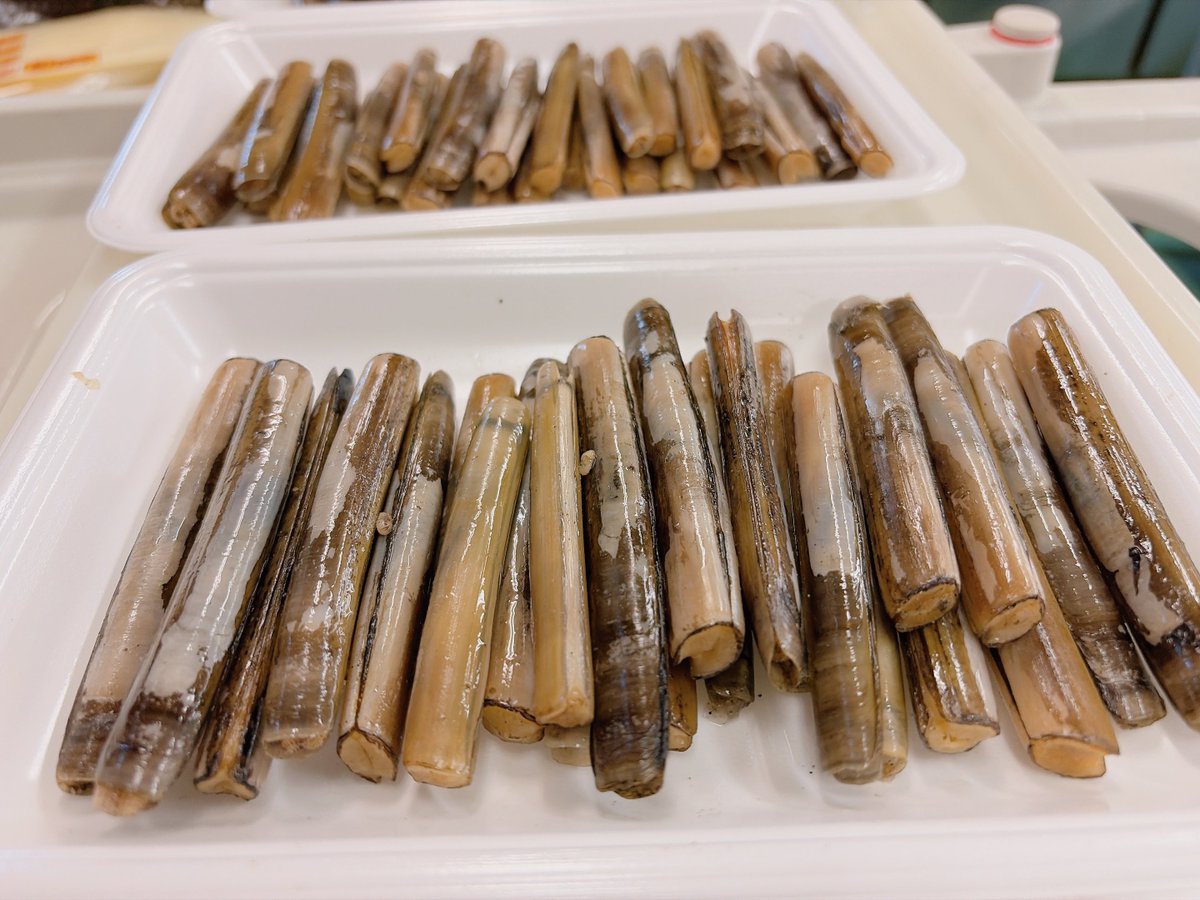 ロール発射🐙 tweet media