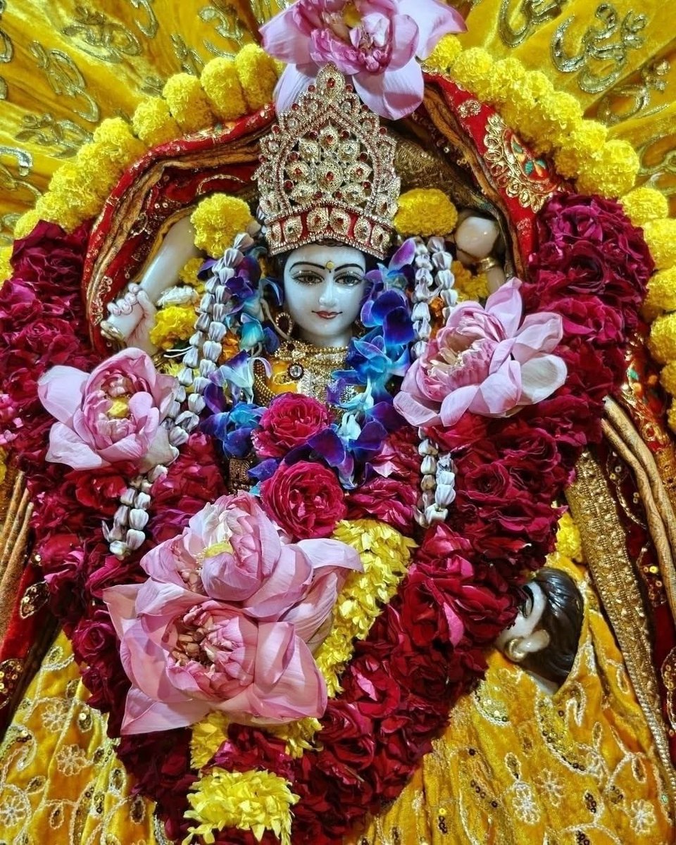 Maa BaglaMukhi Mandir tweet media