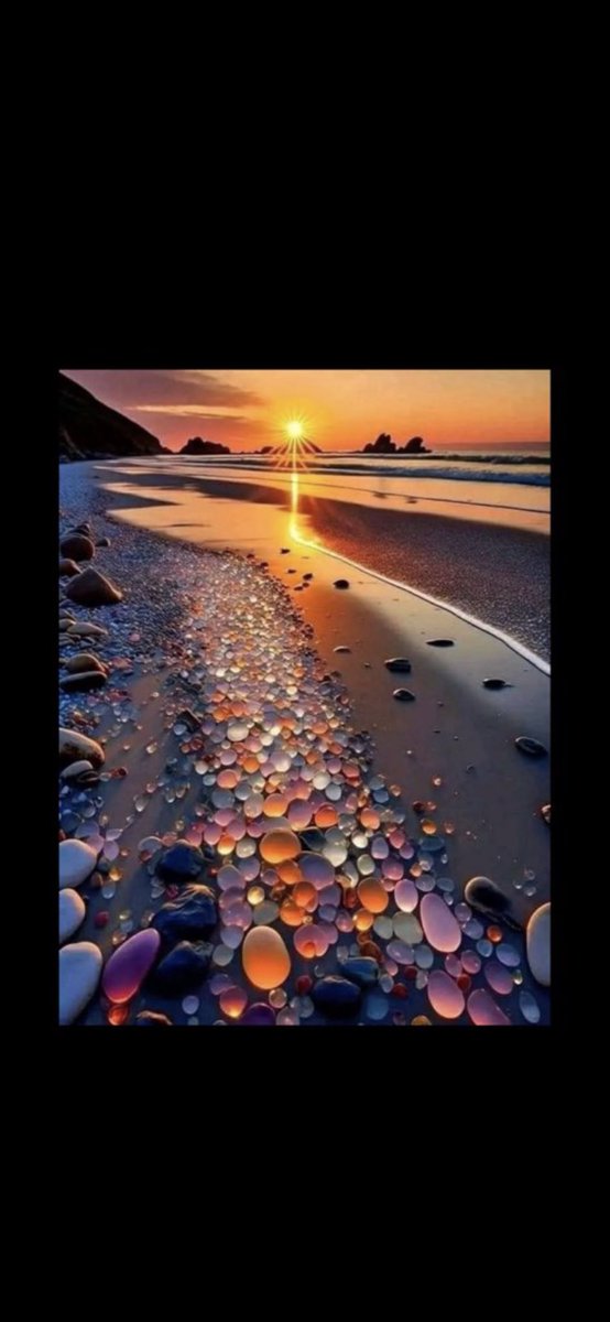 الصقر tweet media