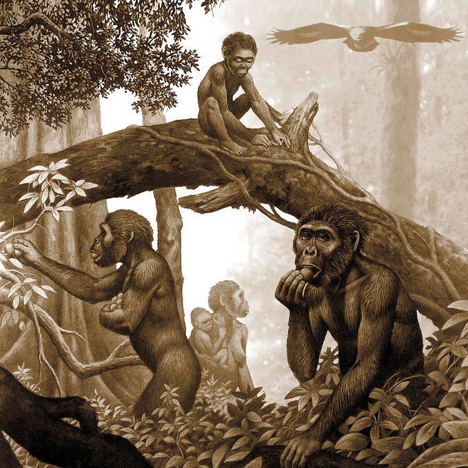 Qafzeh's tweet photo. Australopithecus africanus family in forest 2.8 million years ago (RAUL MARTIN/MSF) Taung child's final moments https://t.co/VEjIn5ueZo