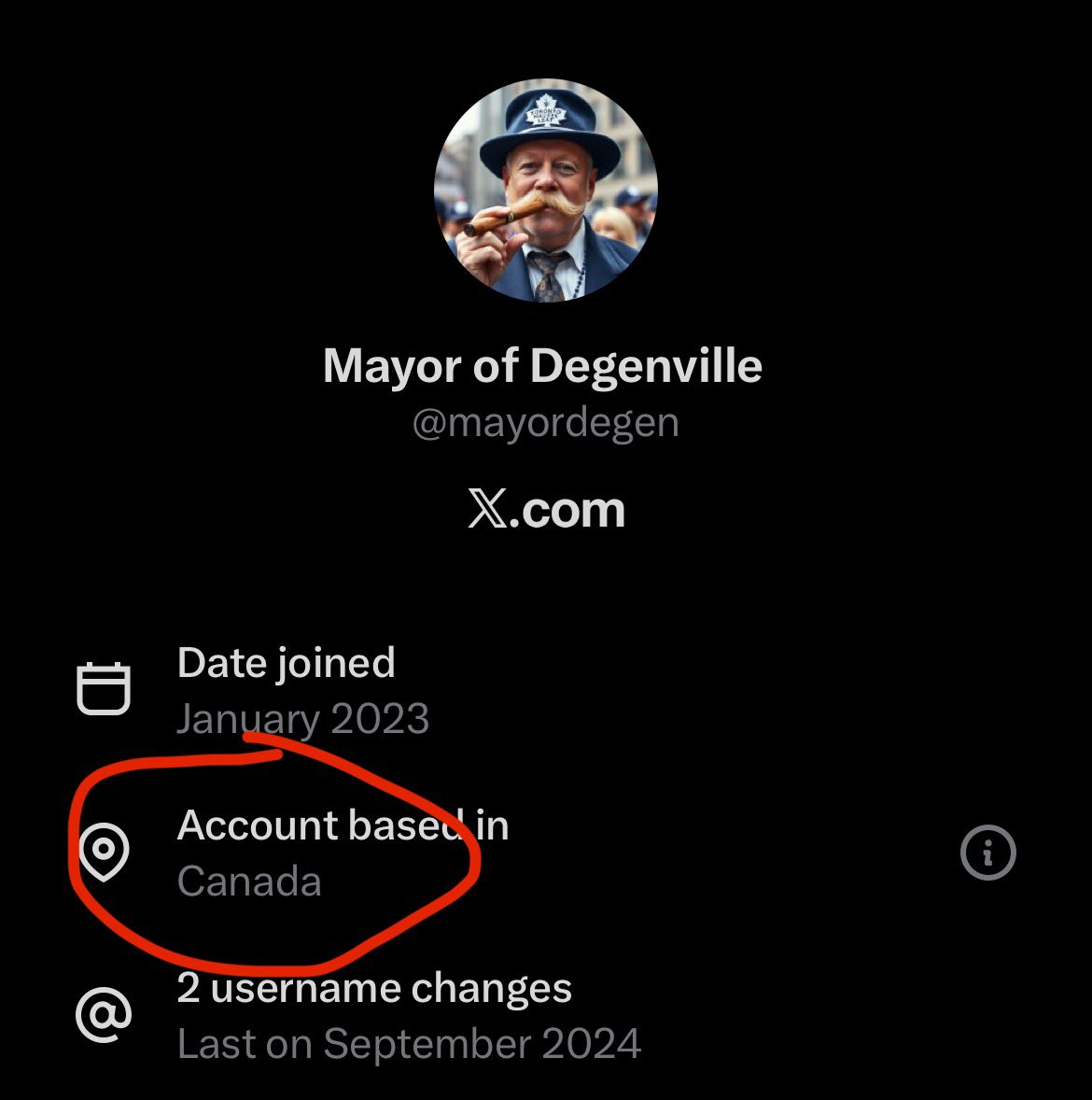 Bears fan tweet media