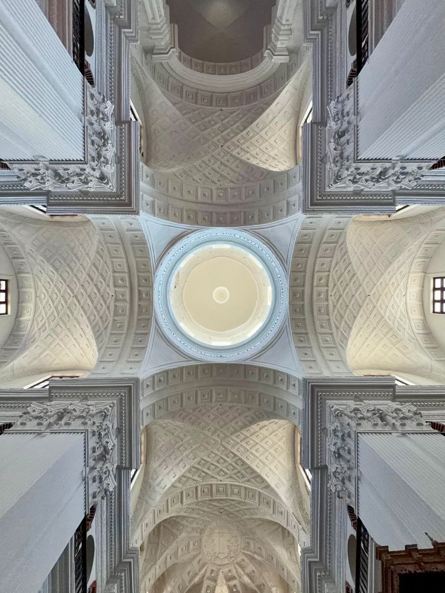 Dr Philipp Ackermann tweet media