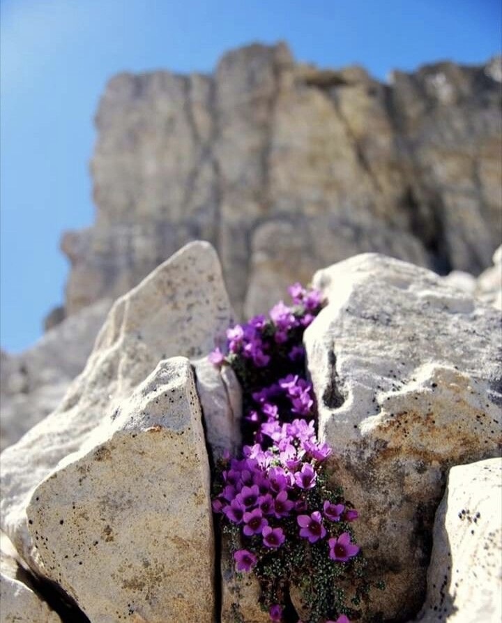 صـاد tweet media