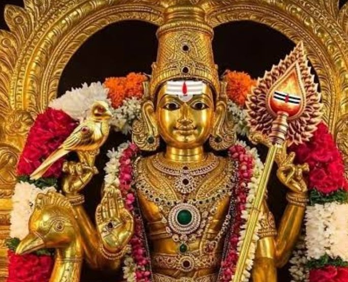 🌻Mr.Easytalkoos🌻 tweet media