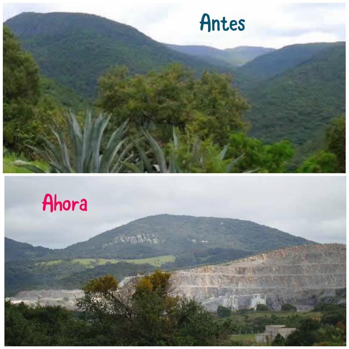 👀 ¿Qué pedimos para Sierra de Álvarez?
45 años sin programa de manejo¡¡¡

▶Entre otras cosas:
✔Se establezca claramente en el programa de manejo que dentro del Área Natural Protegida “SIERRA DE ÁLVAREZ”, queda prohibido verter o descargar contaminantes en el suelo, subsuelo y