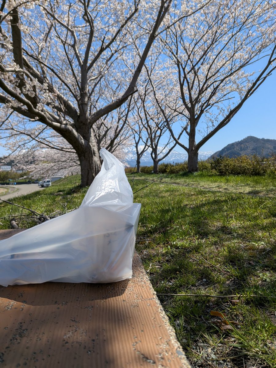 ヴィラ tweet media