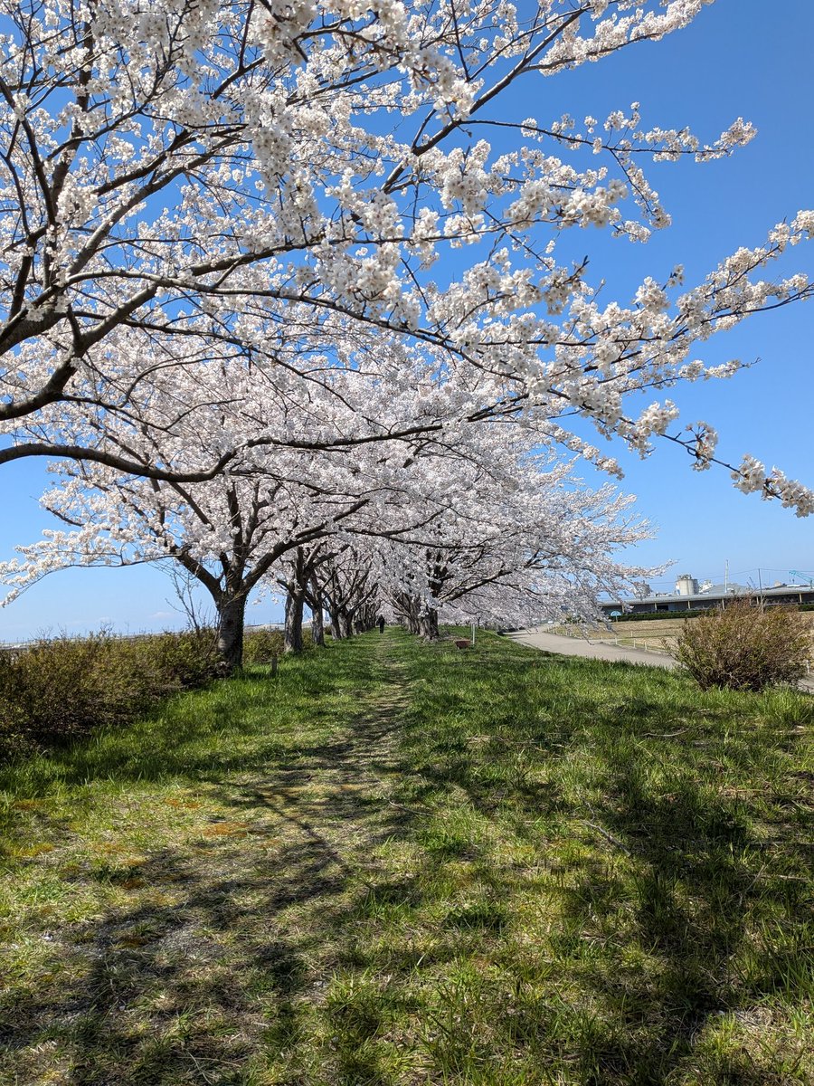 ヴィラ tweet media
