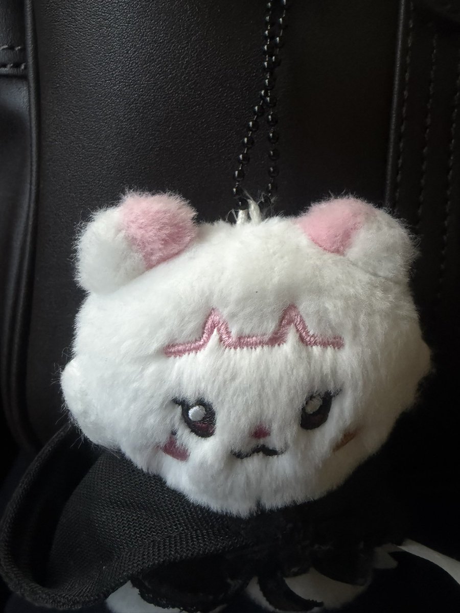 さあや💜🏰🐱 tweet media