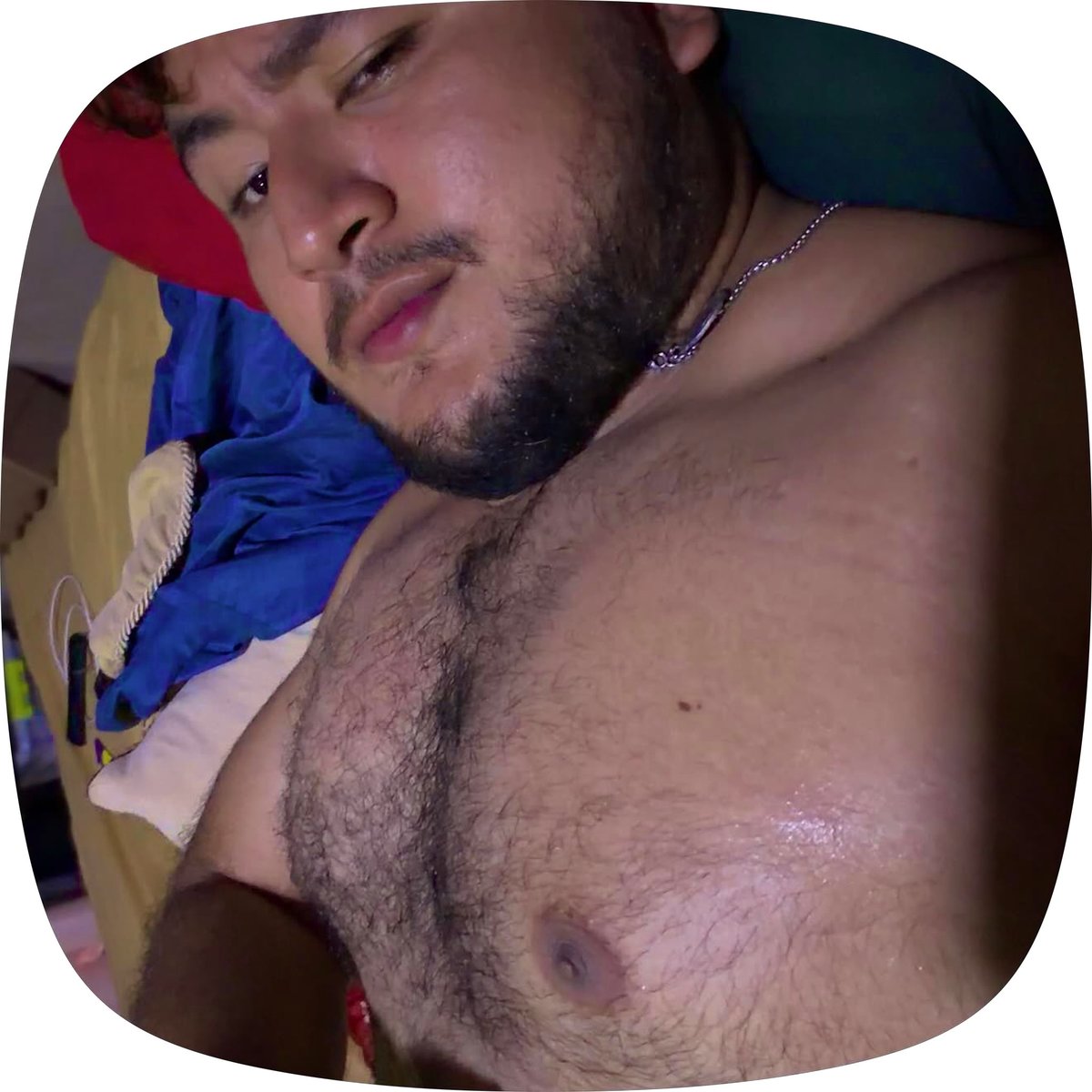 brandon_ecm's tweet photo. Este oso va a descansar 🔋 #osos #oso #bear https://t.co/xYImrBVfYL
