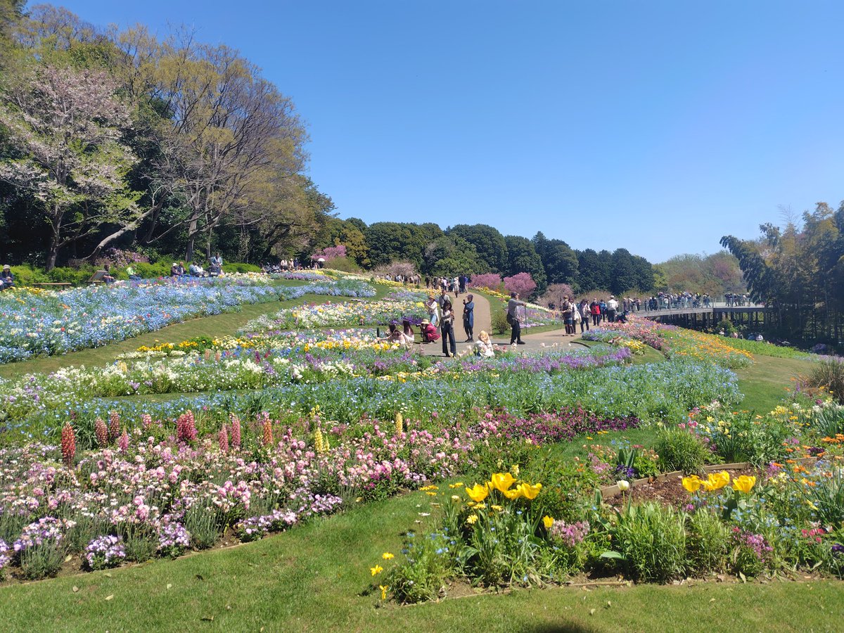 ぱっち🍏川崎・注文住宅 tweet media