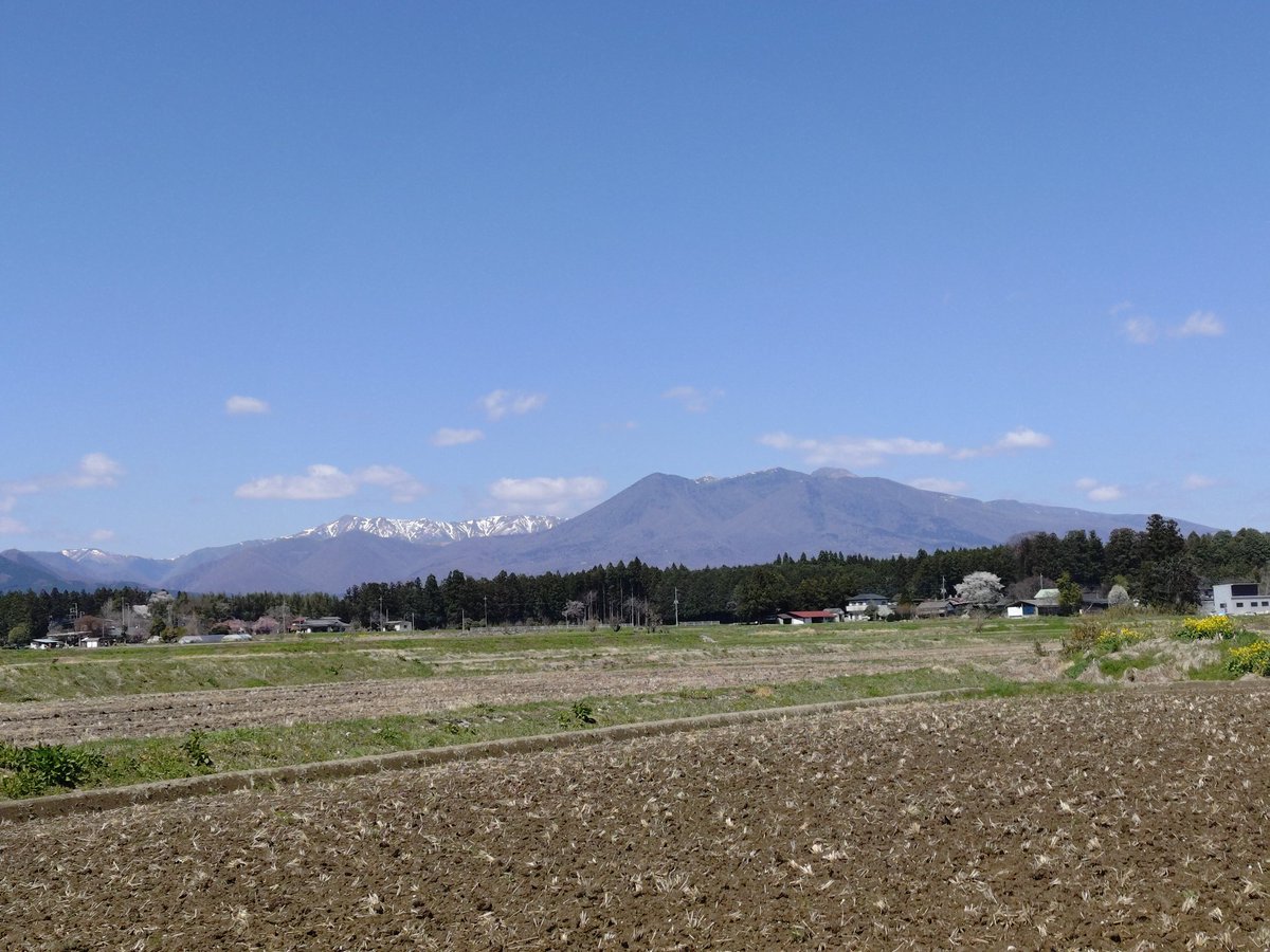 masayuki1400 tweet media