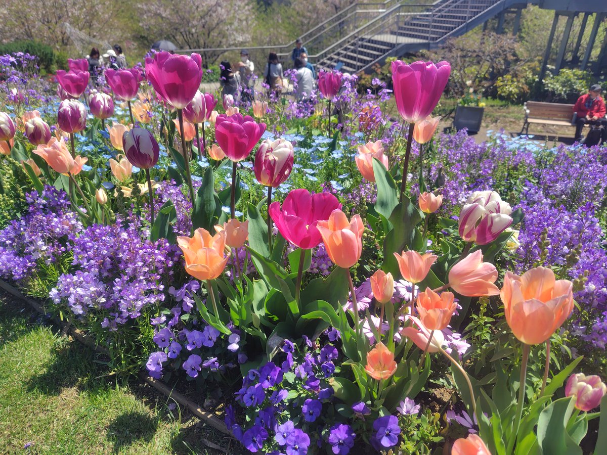 ぱっち🍏川崎・注文住宅 tweet media