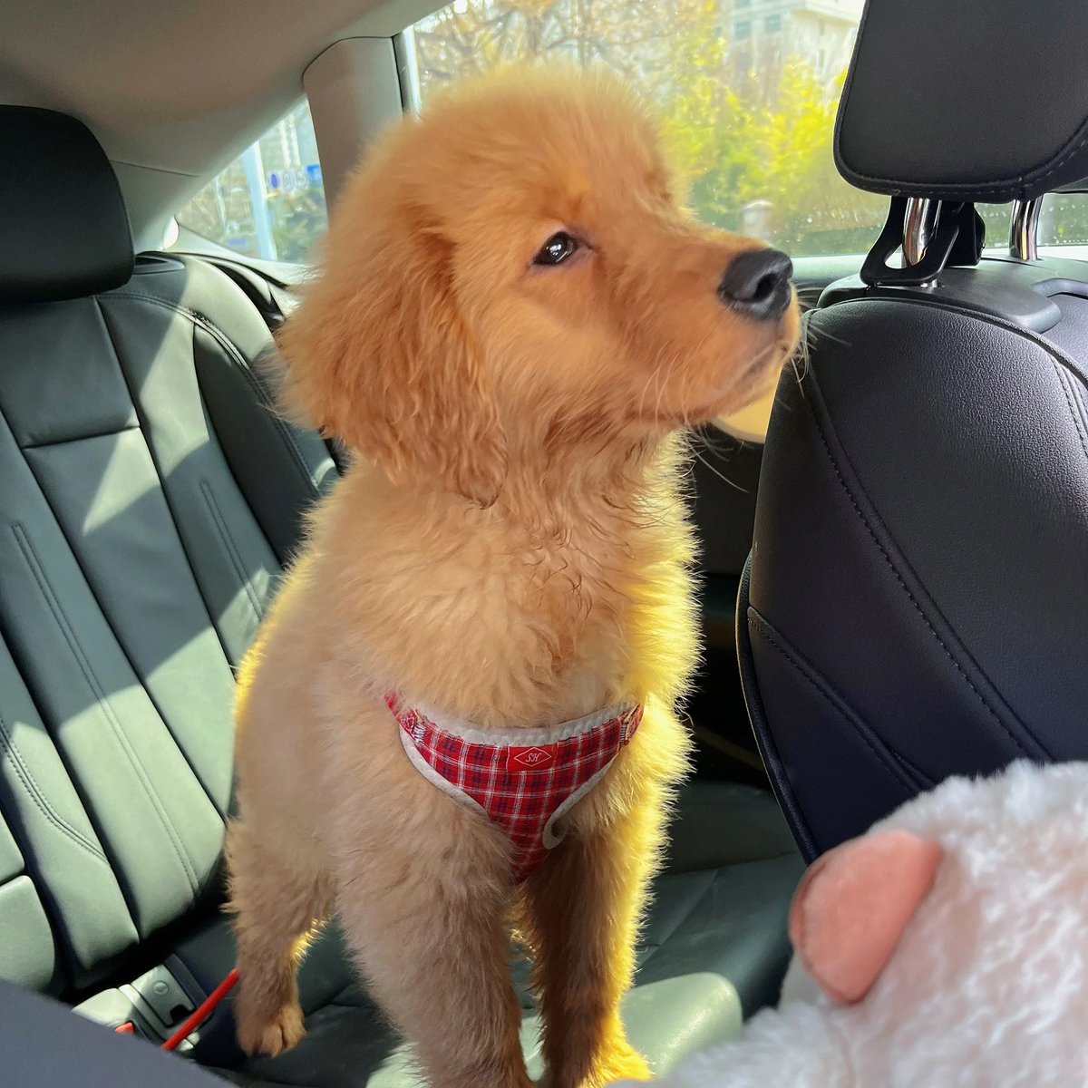 Cristina Cisternas tweet media