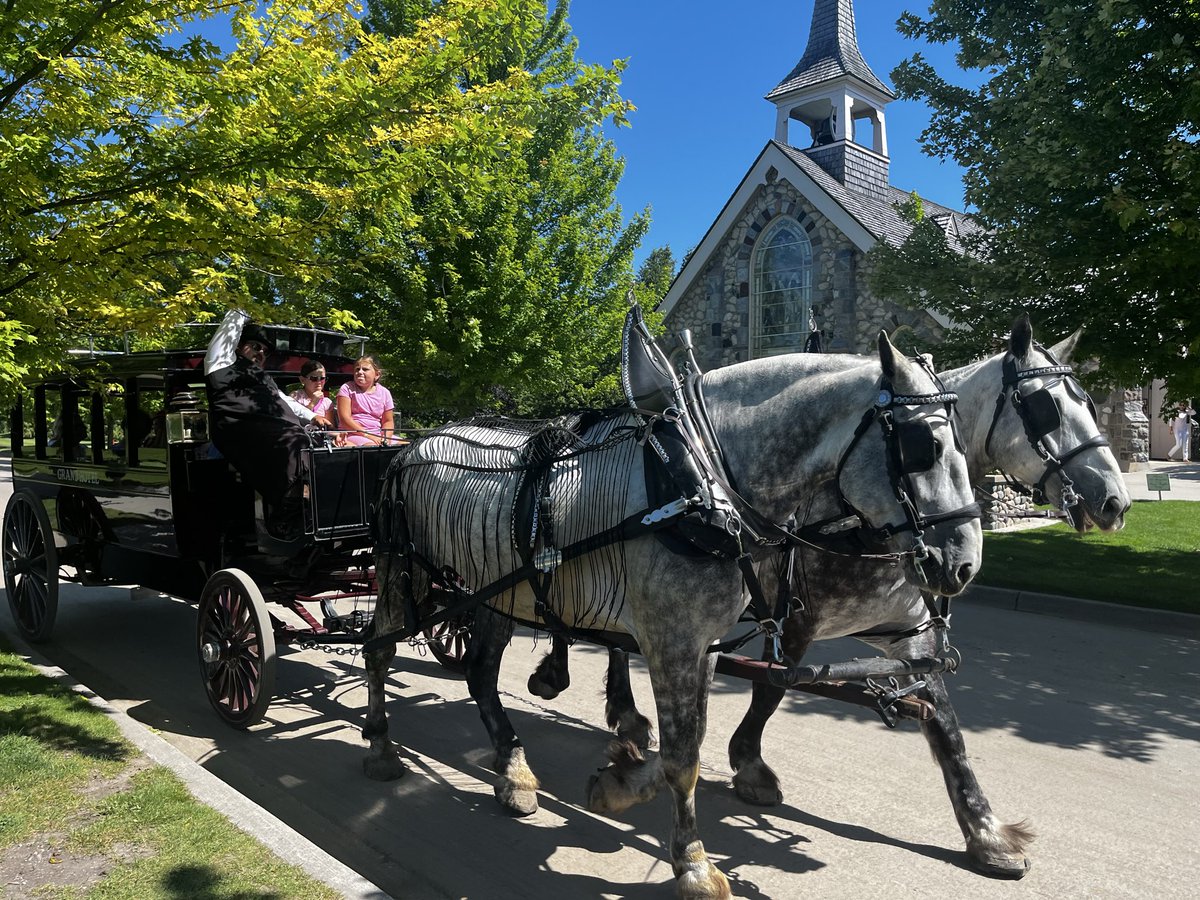 Senator Blutarsky tweet media