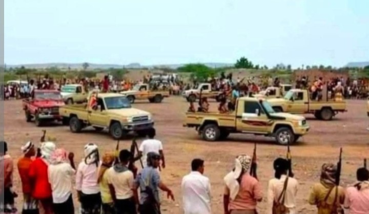 تهامة الإخبارية tweet media