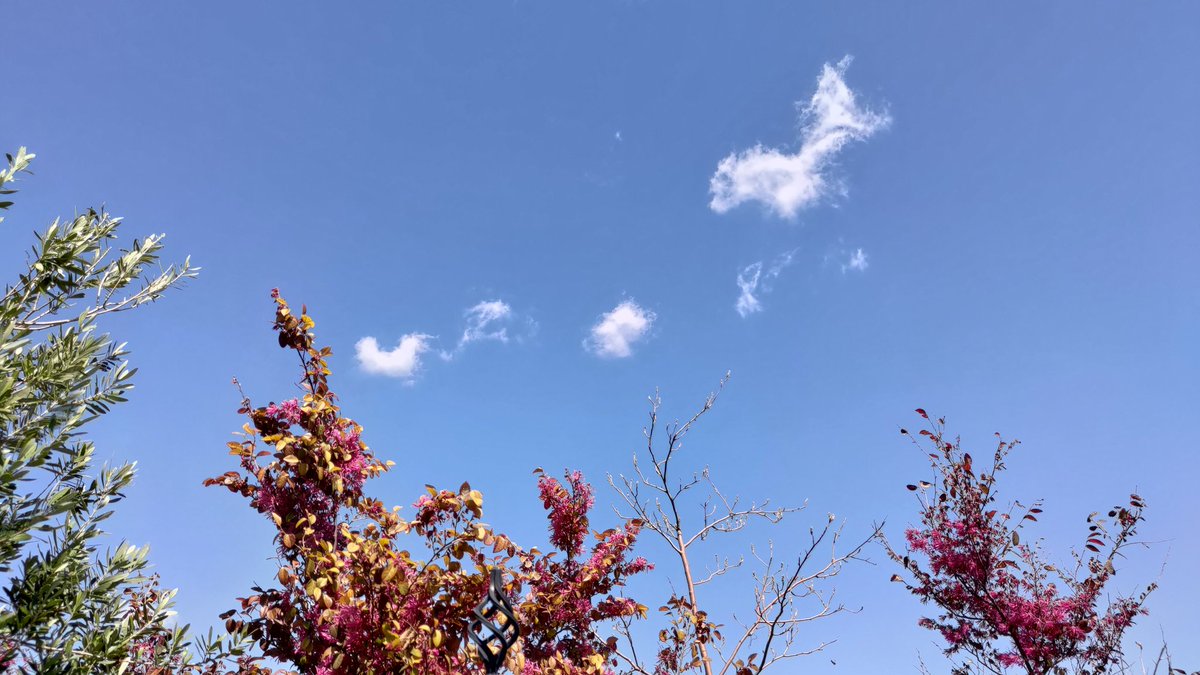 surugawind's tweet photo. 親孝行をしようとする前に、親が亡くなってしまう悲しい経験をしました

どうか、間に合わなくなる前に親孝行をしてください 🍀

そうしないと、ずっと後悔が続きます
#母親 #死別 #親孝行 #後悔 https://t.co/JgRHzIGMFz