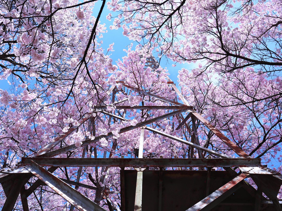 LibraGreen12's tweet photo. 美和ダム
Date : 2026. 4. 6
Gear : Canon EOS 5D Mark Ⅳ
Lens : EF 24-70mm F4L IS USMi
White Balance 4400k
Picture Style EMERALD
#サクラ
#桜
#伊那市
#長野県
#写真 https://t.co/sdBatpbdn2