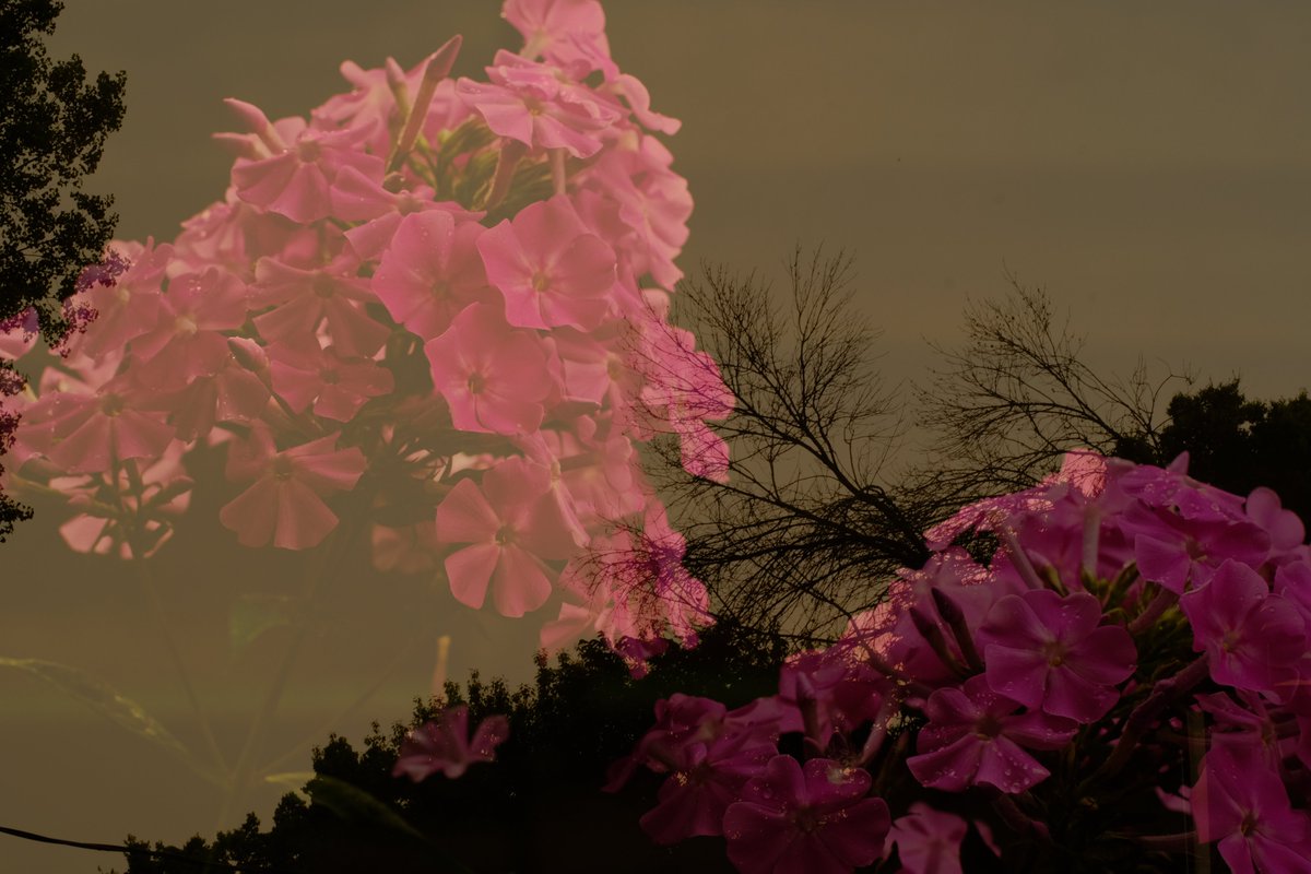 NSMatychuk's tweet photo. Through the confusion can come clarity. #doubleexposure #photography #FujiX #fujifilm https://t.co/IN2NCnk8zr