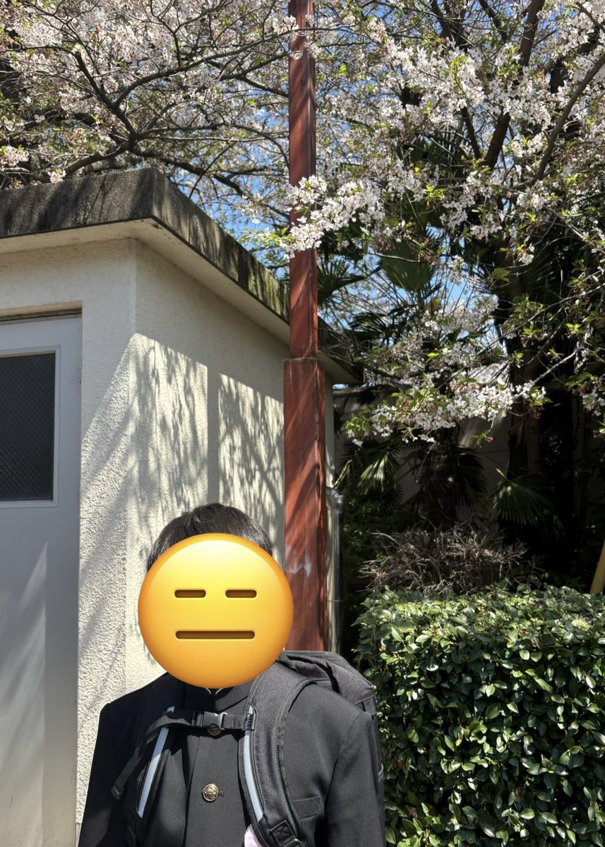 ウミ@3児ママ1馬力フリーランス tweet media