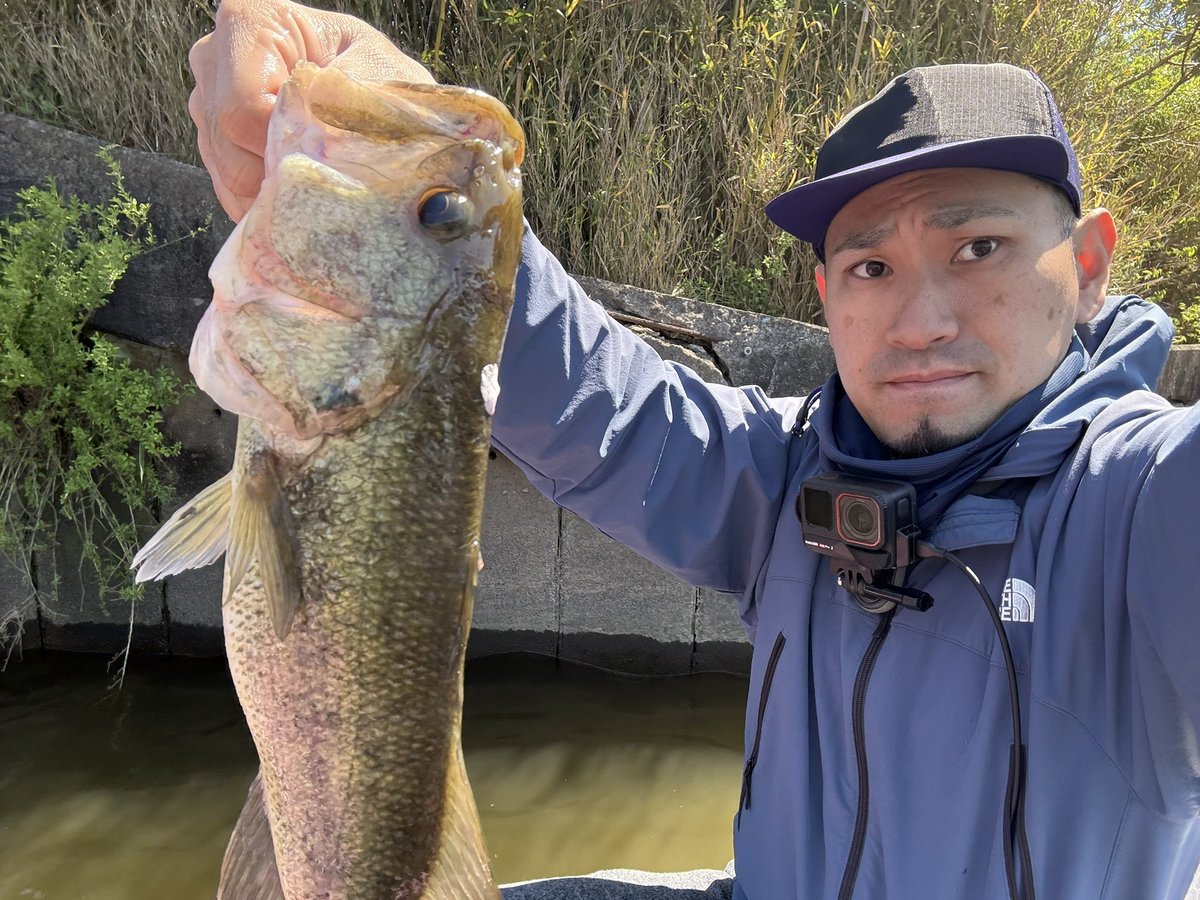 So What!!!! tweet media