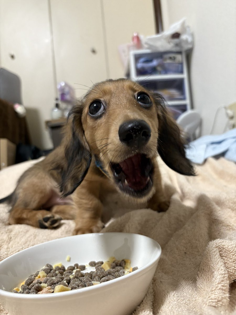 イシミん（元ササミん） tweet media