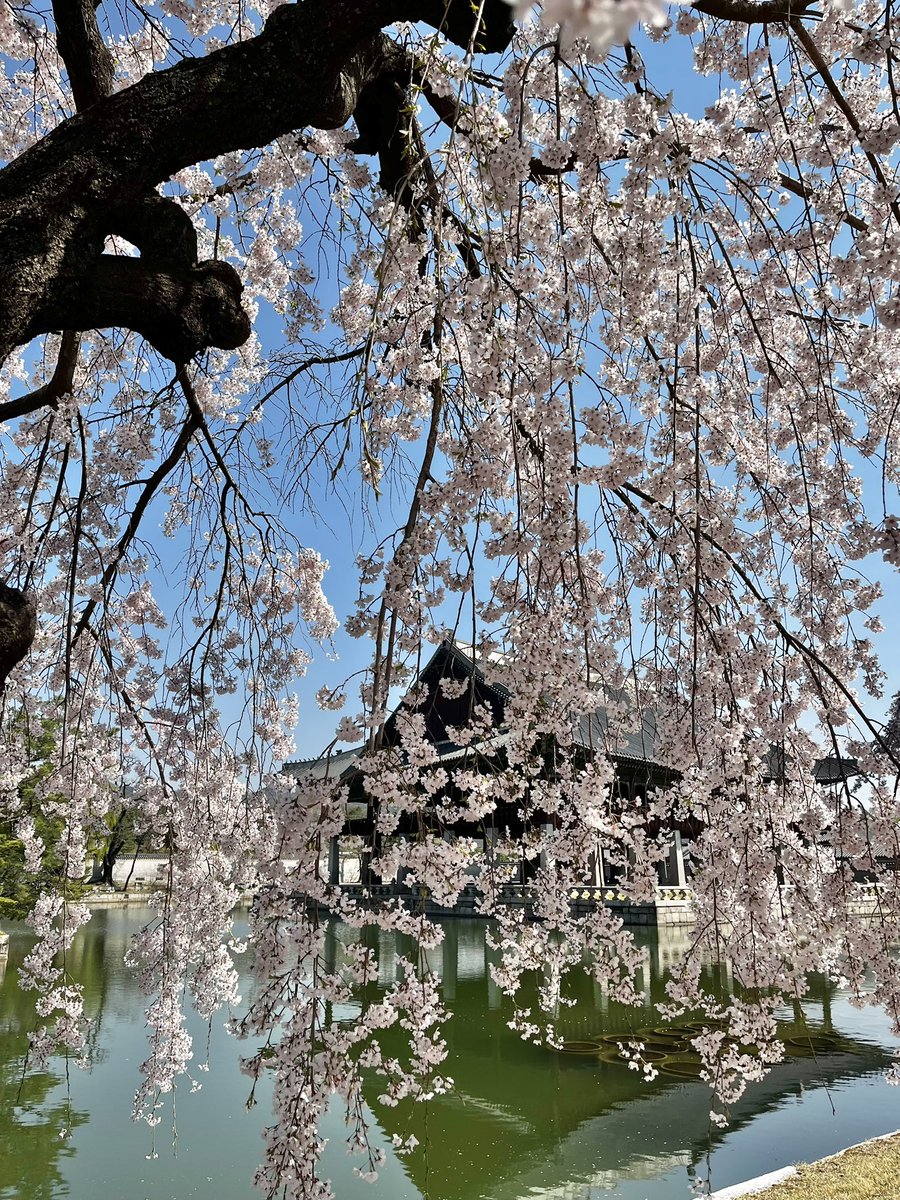 Harsha Perera tweet media