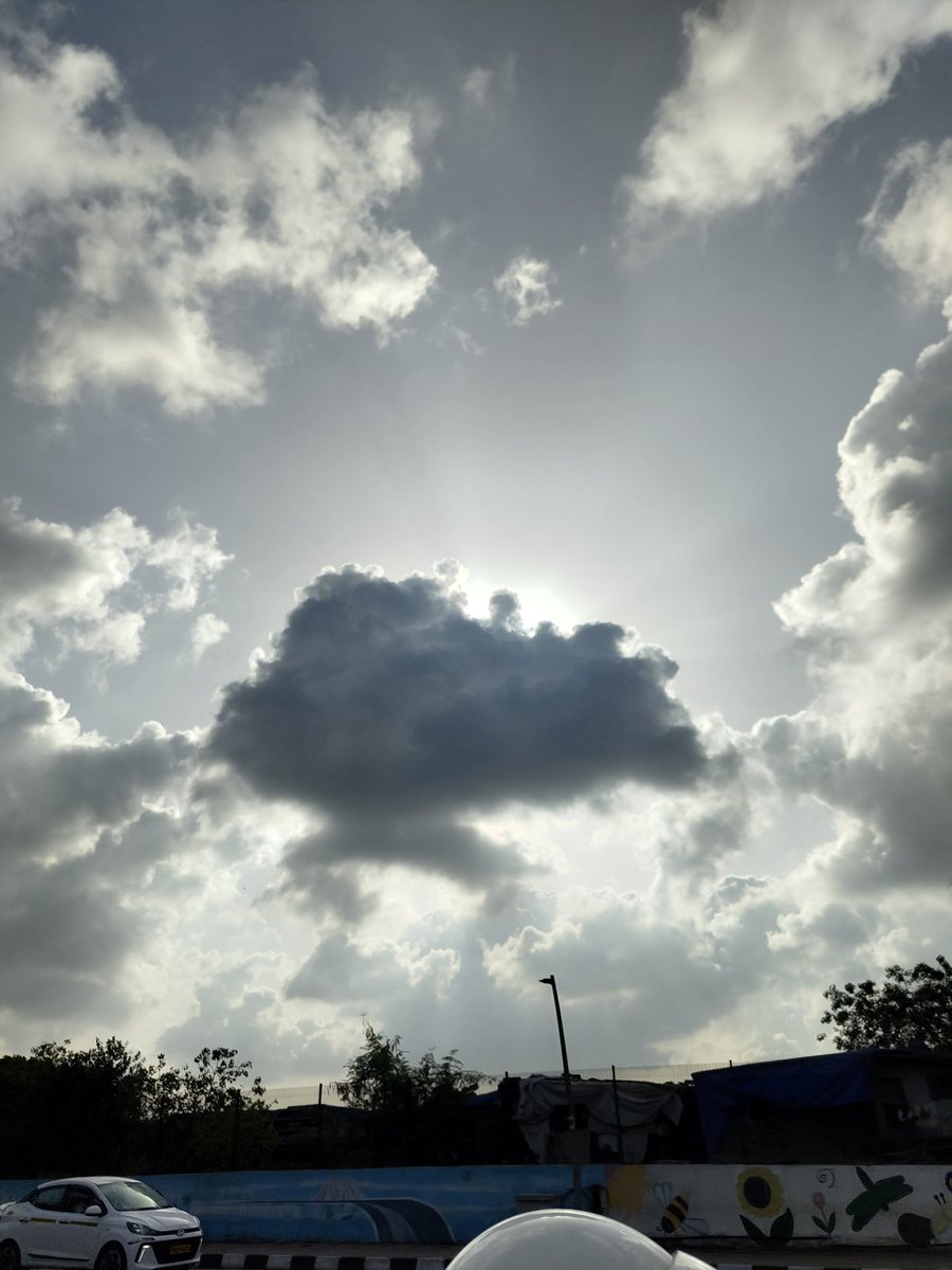 Anjali Singh tweet media