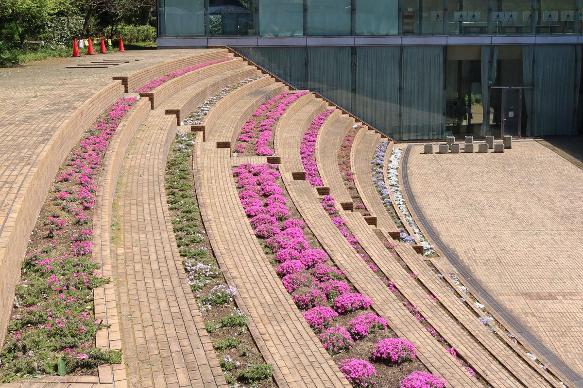 くにたち郷土文化館 tweet media