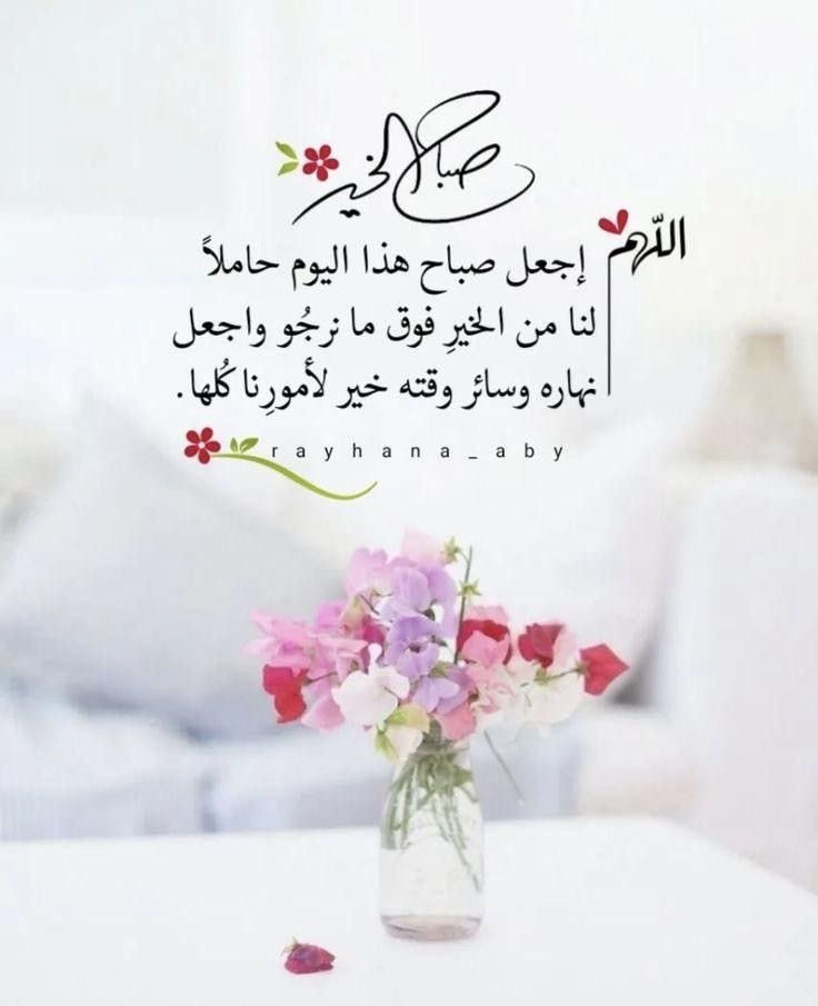 world_salami's tweet photo. صباحٌ يحمل الأمل، ويزهر بالرضا، ويكتب لنا فيه أجمل الأقدار.  #صباح_الخير 🕊️🤍 https://t.co/RNsYtKgyIi