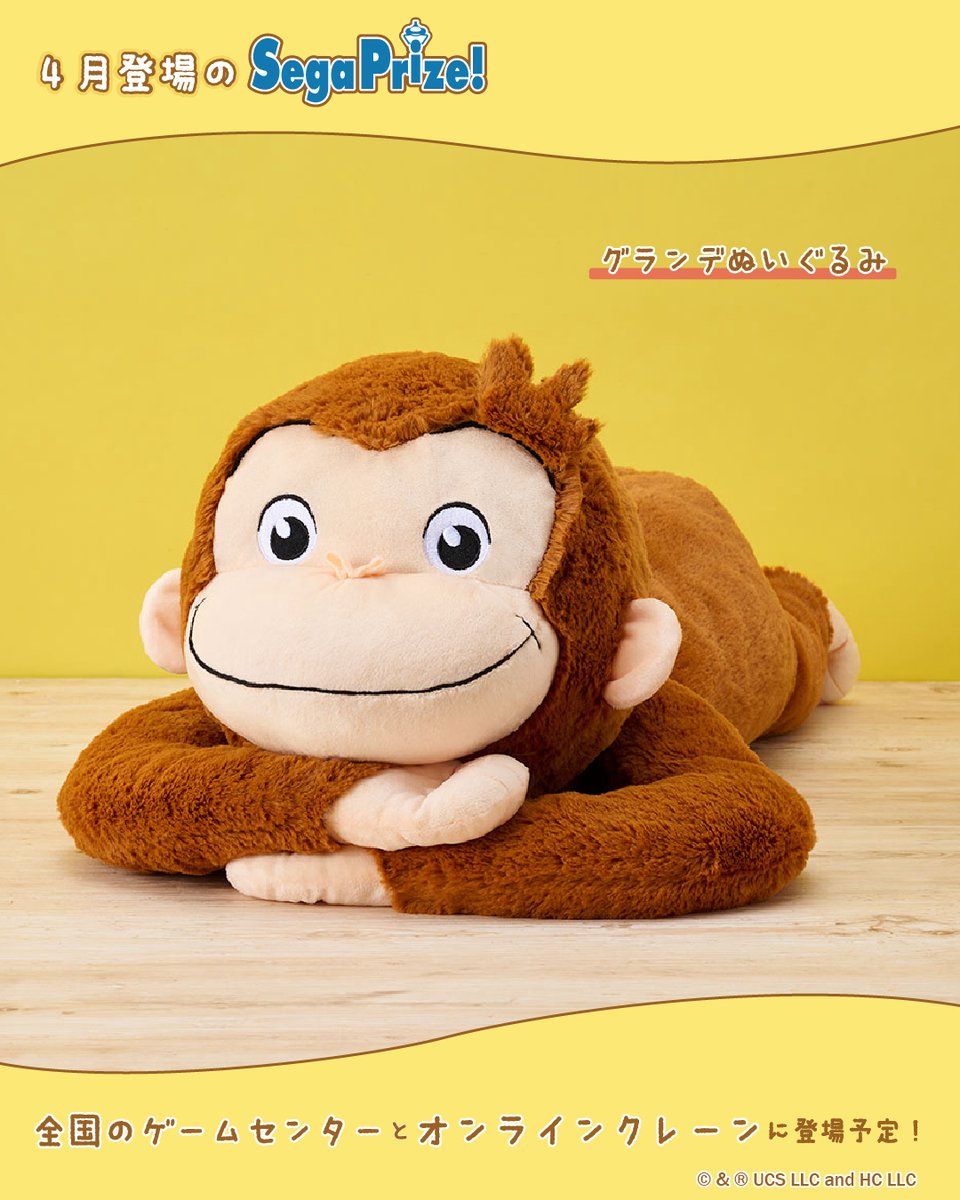 おさるのジョージ【公式】 tweet media