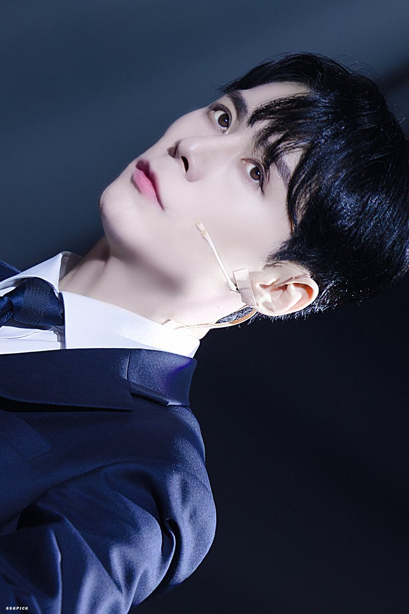 비엔나📷✨ tweet media