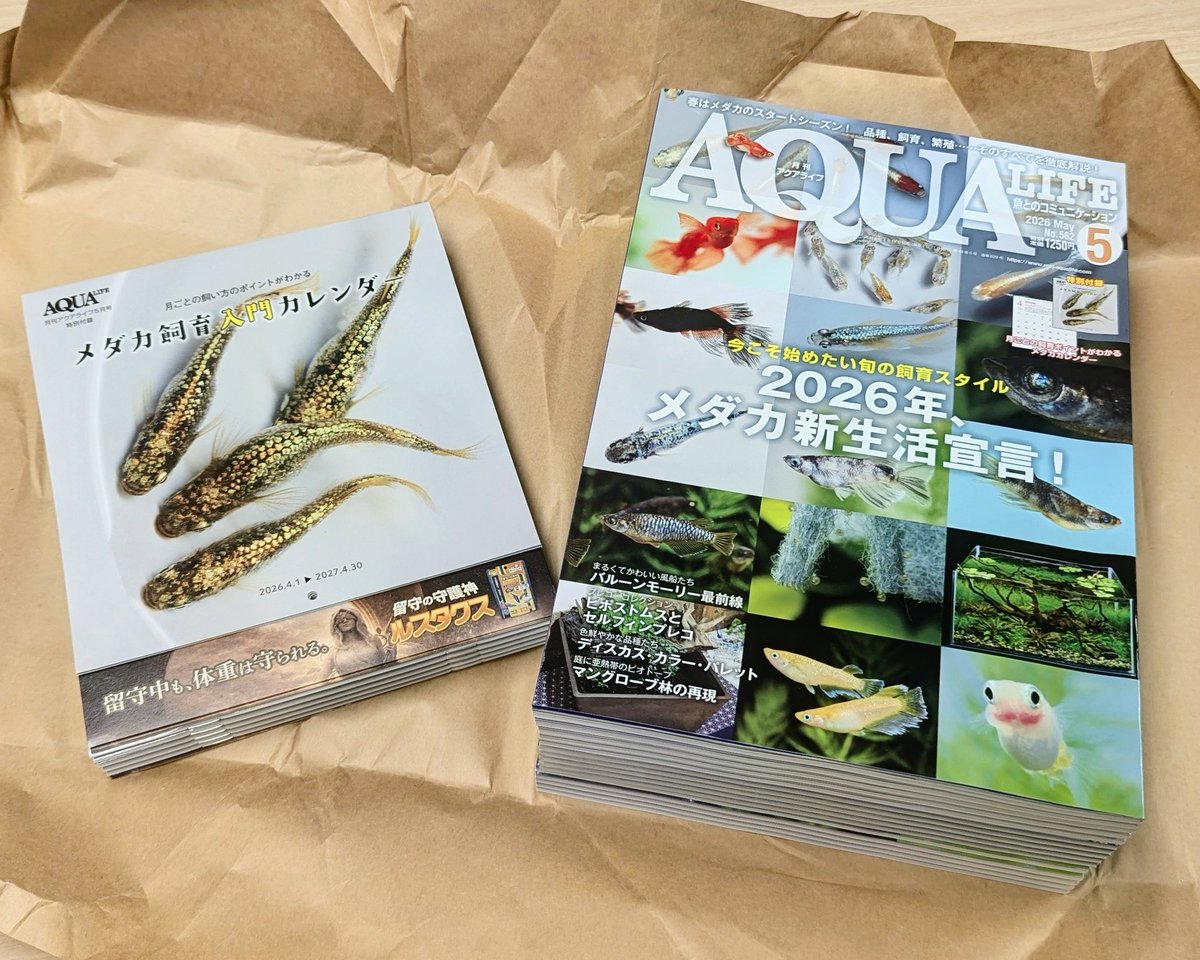 MPJ　販売促進部 tweet media